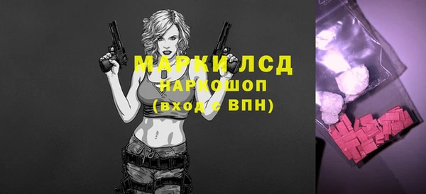 индика Беломорск